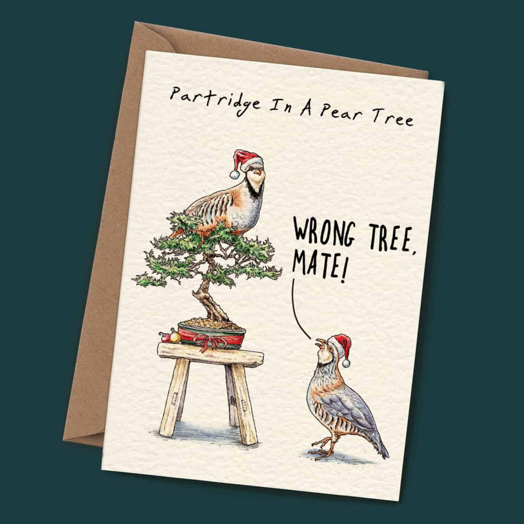 Bewilderbeest - Partridge Bonsai - Christmas Card