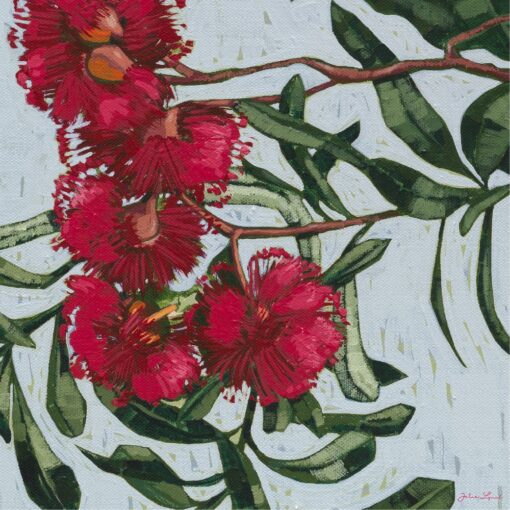 Lilli Rock Flowering Gum Blossoms 2 Coaster