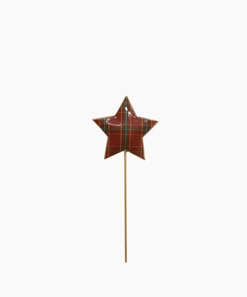 Tartan Star on Stick