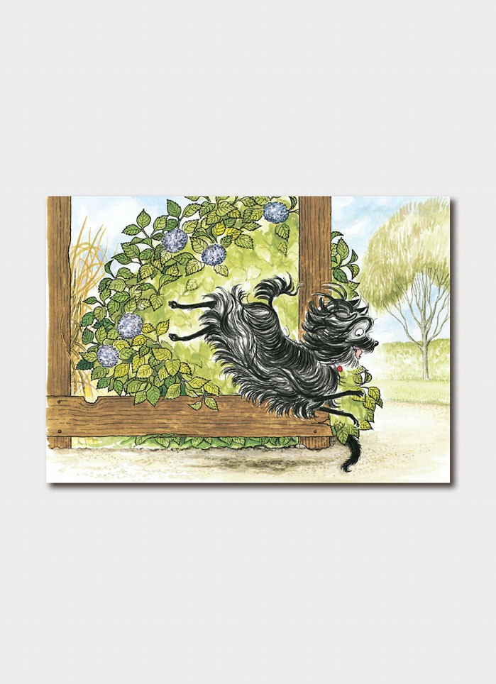 Hairy Maclary Scattercat Card