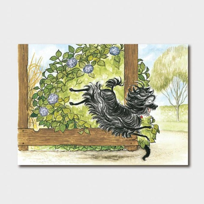 Slinky Malinki Open the Door Card