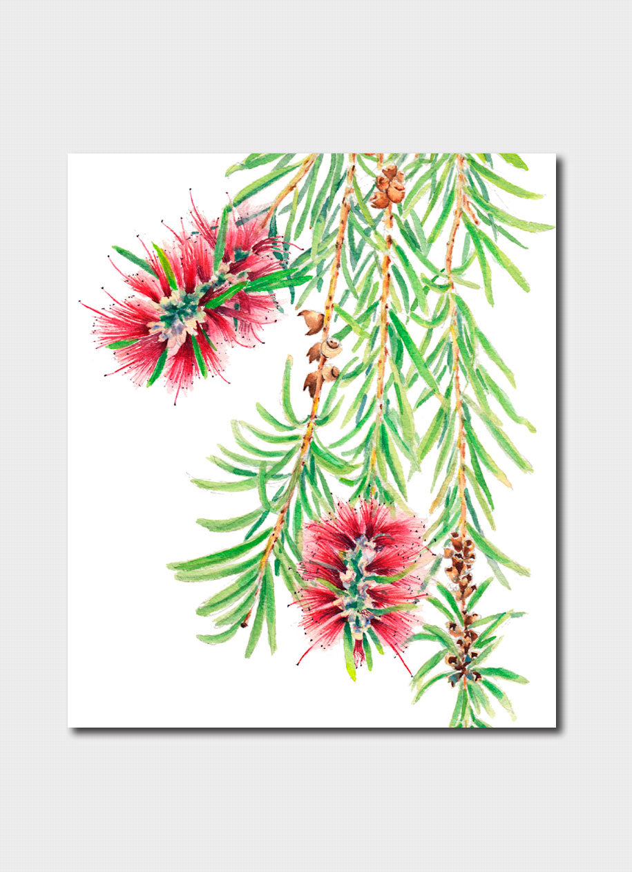 Zoya Makarova Bottlebrush