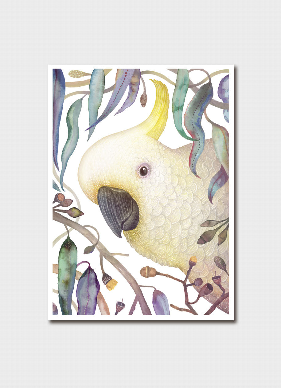 Vlad Stankovic Sulphur-crested Cockatoo Card