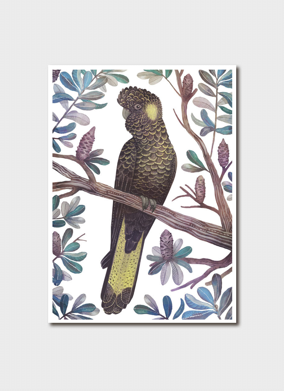 Vlad Stankovic Yellow-tailed Black Cockatoo Card