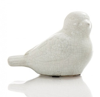 Vanilija Bird Looking Up