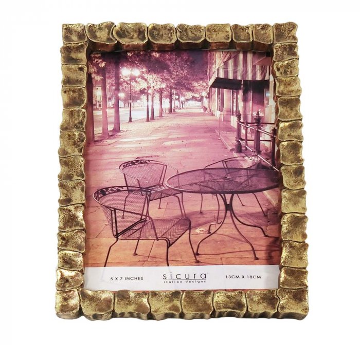 Gold Turtle Picture Frame Gold 5'x7'