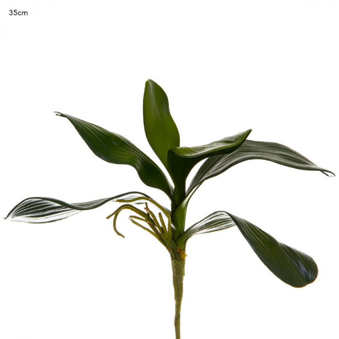 Artificial Orchid Leaf Cluster 35cm - Green