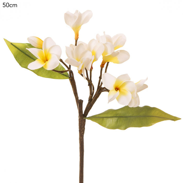 Frangipani Spray 50cm