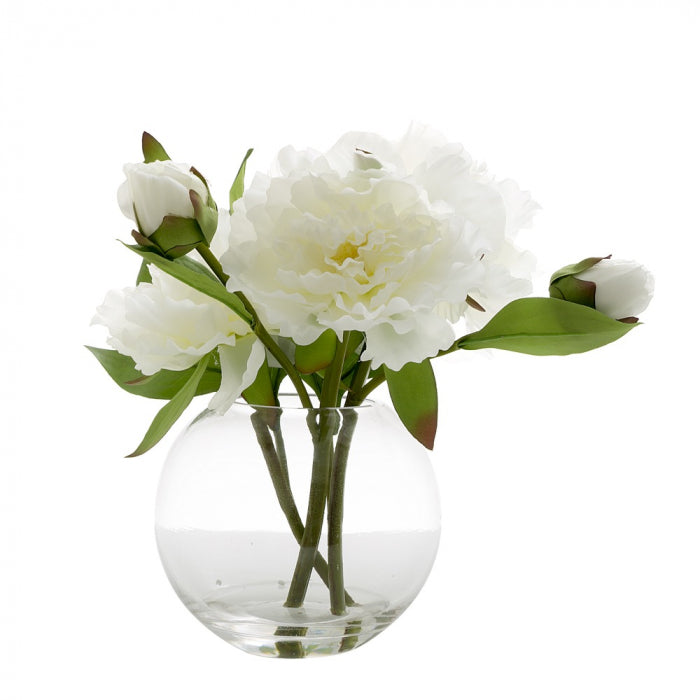 Peony in Water Bowl - White