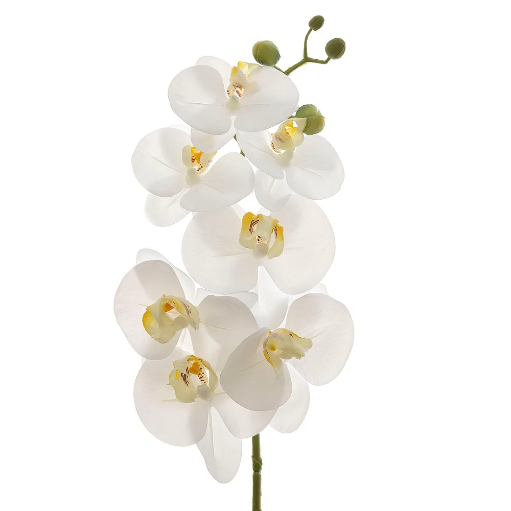 Phalaenopsis Spray Real Touch