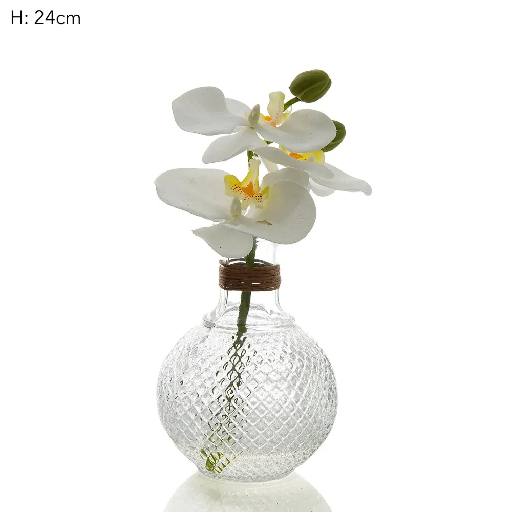 Orchid in Glass Vase