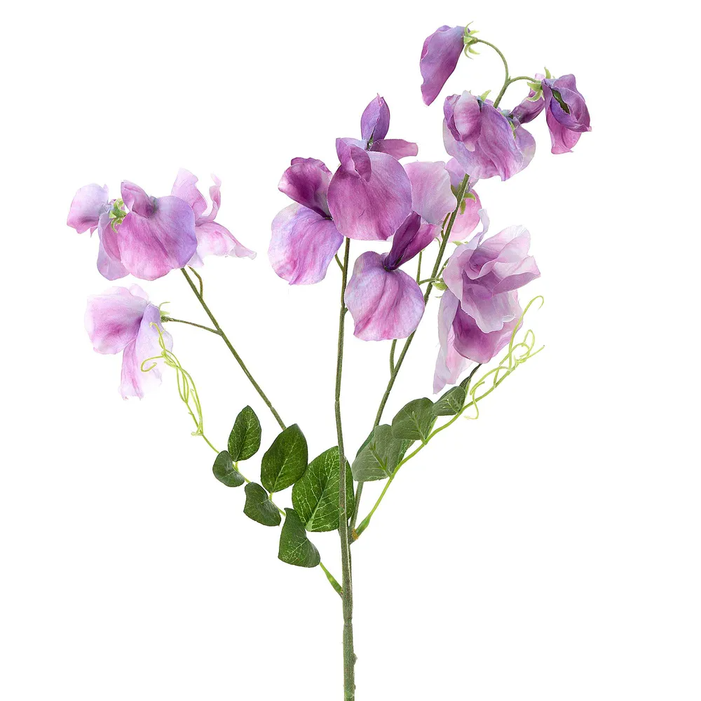 Sweetpea Spray - Lavender