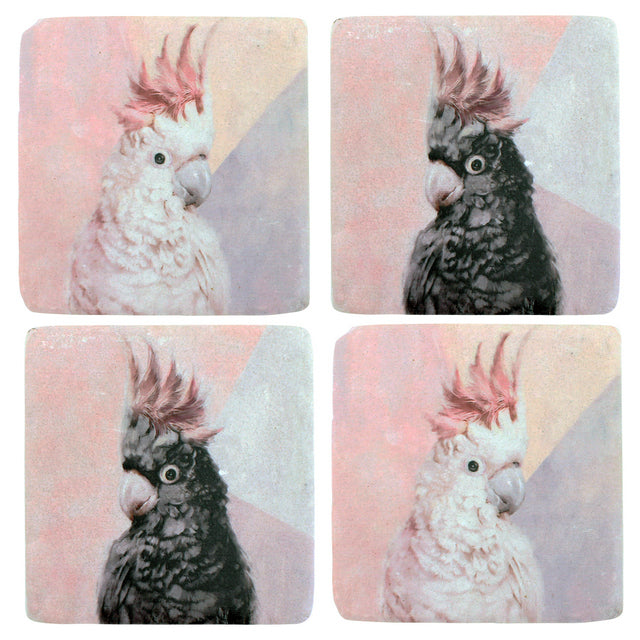 Cockatoo Resin Coasters - Set of 4