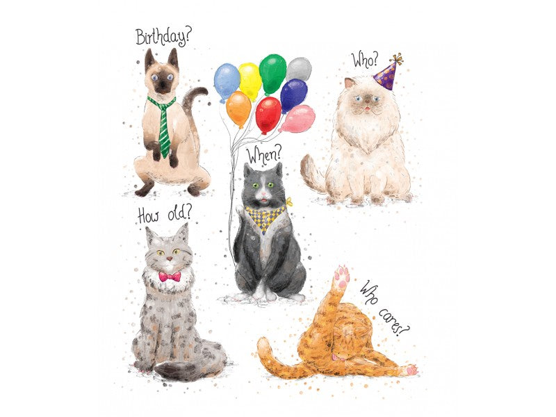 Mini Card - Birthday Cats