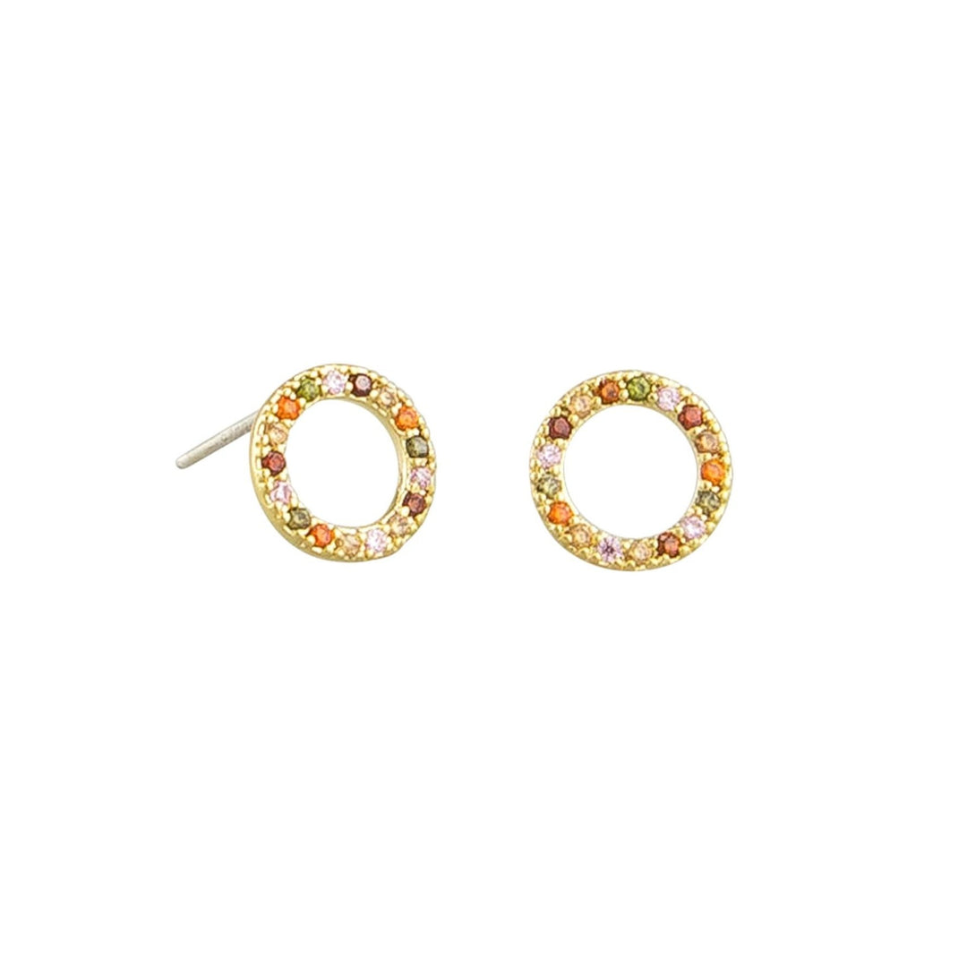 Tiger Tree Rainbow Circle Earrings