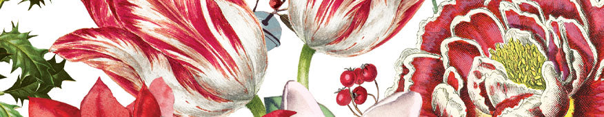 Michel Design Works Christmas Bouquet