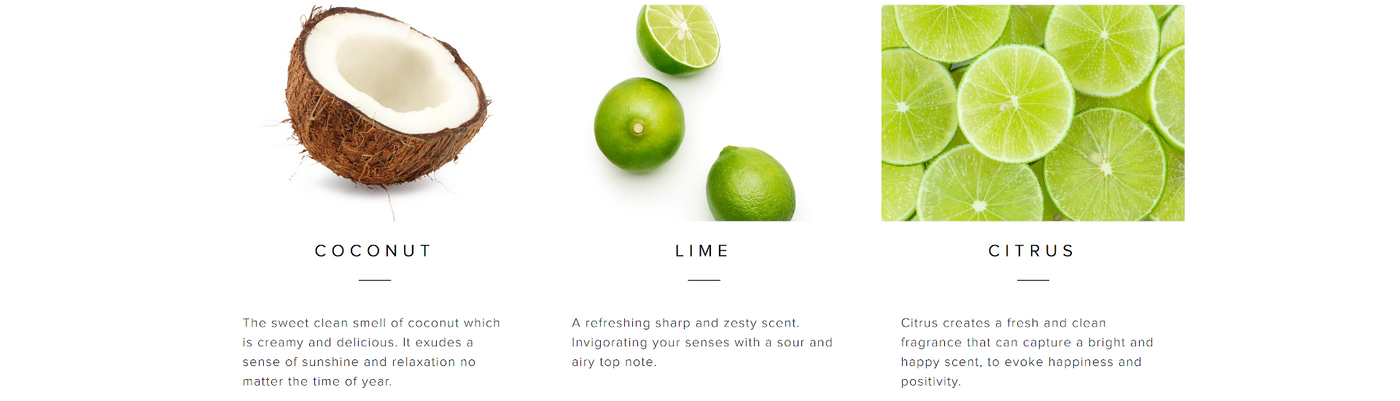 Palm Beach Coconut & Lime Collection