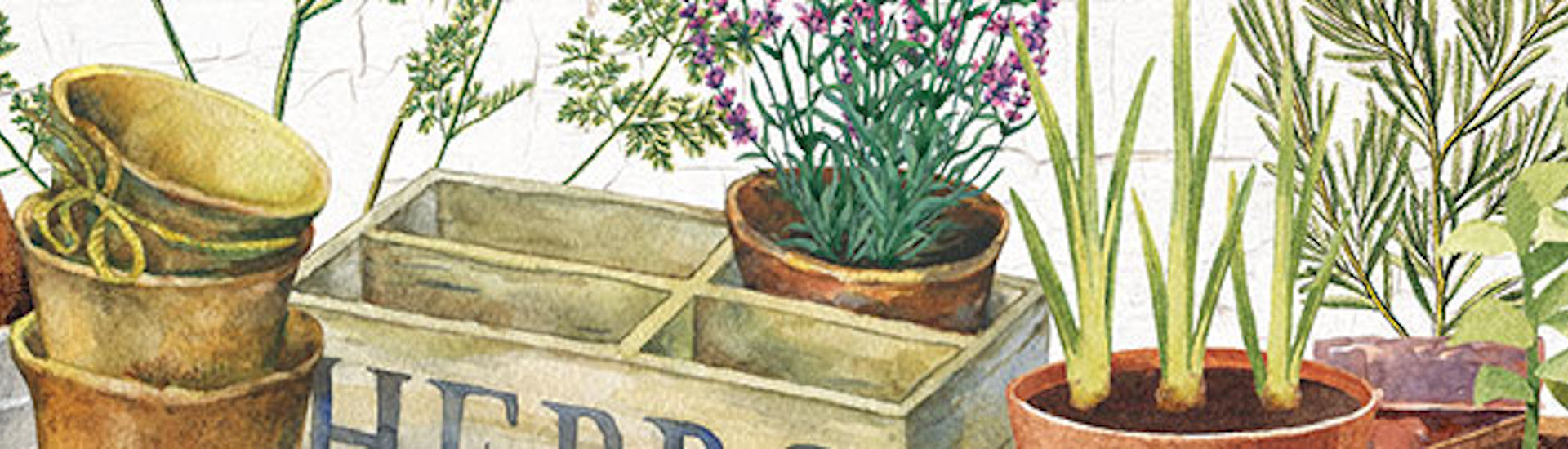 Michel Design Works Country Life Collection