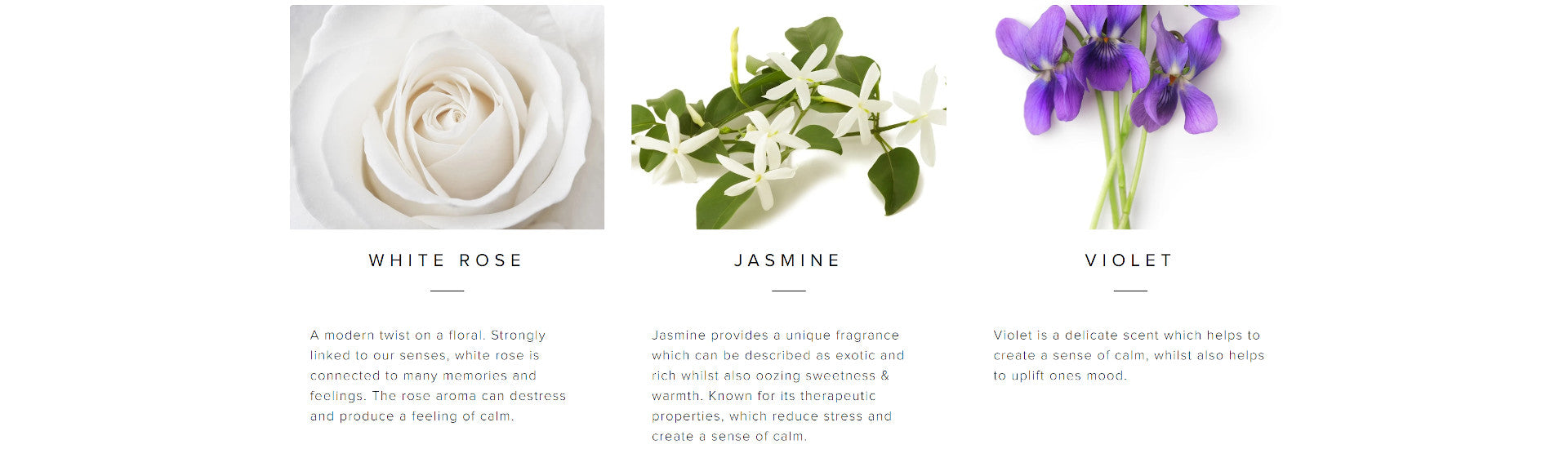 Palm Beach White Rose & Jasmine Collection