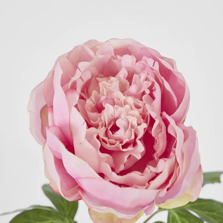 Peony Spray 60 cm - Pink