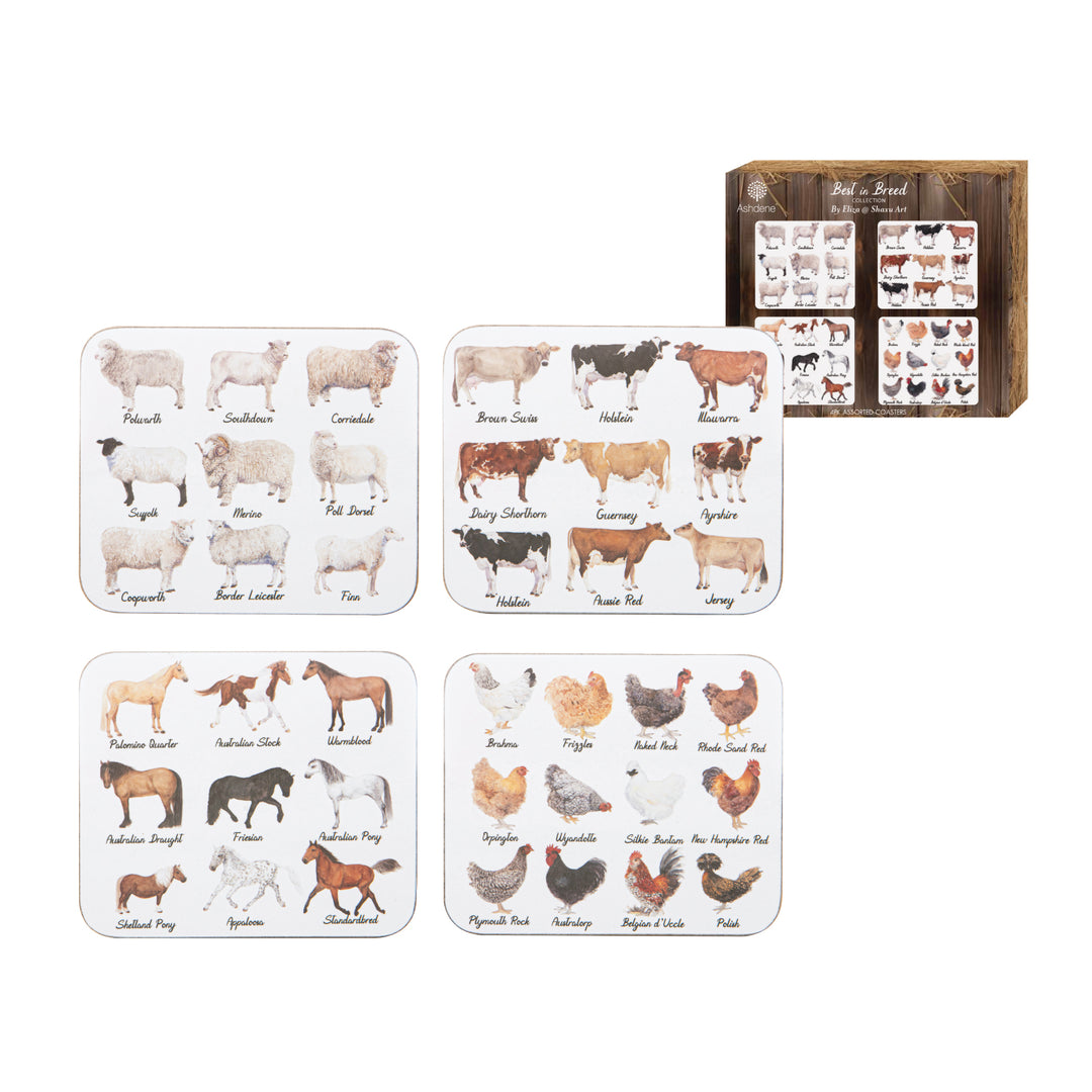 Ashdene Best in Breed 4pk Assorted Coasters