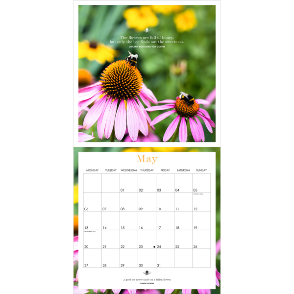 Affirmations 2024 Bee Wall Calendar