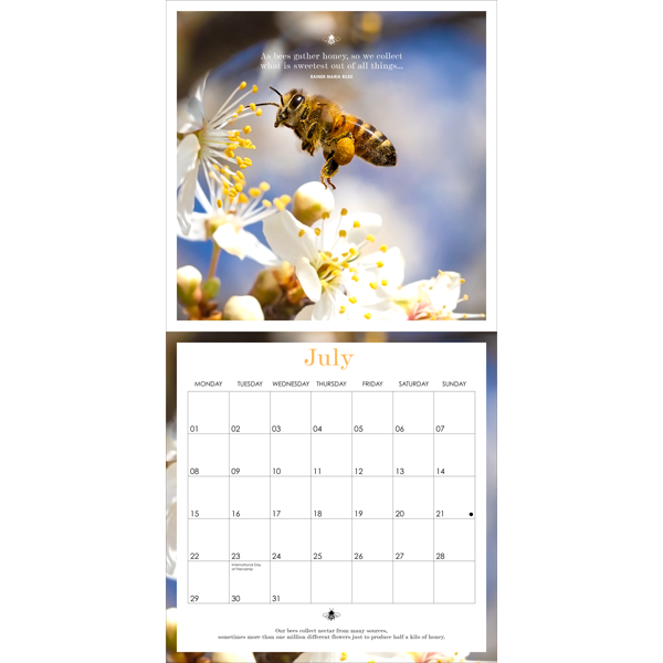 Affirmations 2024 Bee Wall Calendar