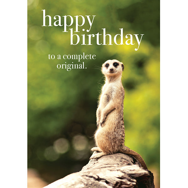 Meerkat Mini Card - Happy Birthday