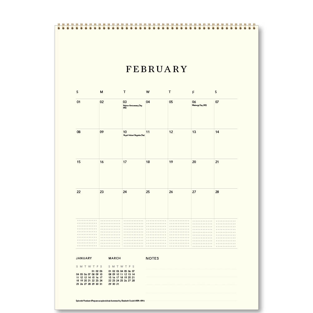 2026  Medium Calendar-Australian Birds-John Gould