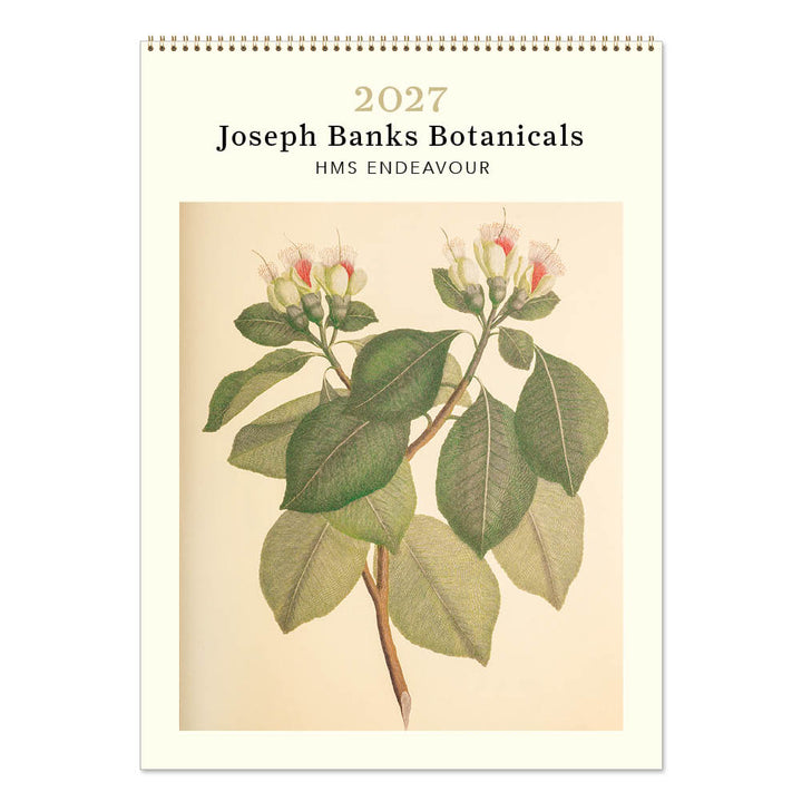 2027 Medium Calendar-Joseph Banks Botanicals-HMS Endeavour