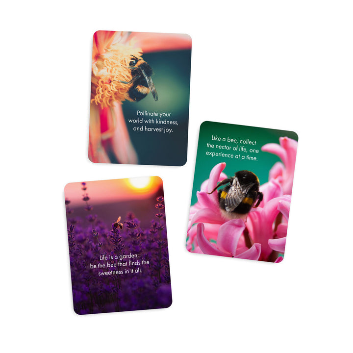Bee You - 24 Animal Affirmation Cards
