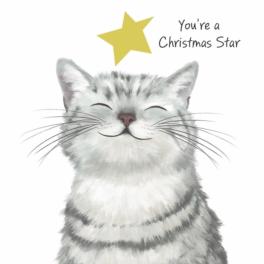 Christmas Card Wallet-RSPCA-Christmas Star
