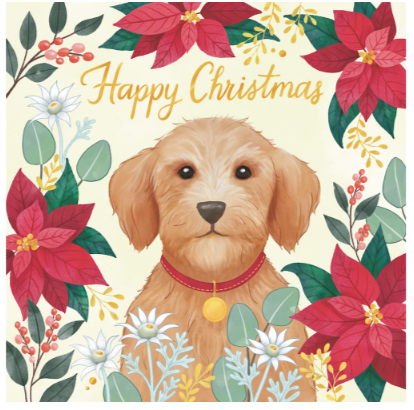 RSPCA Christmas Dog  - Charity Christmas Card Pack