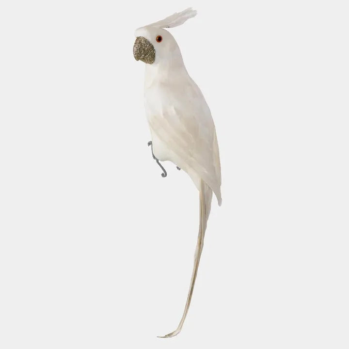 Crawford Glitter Beak Parrot - White