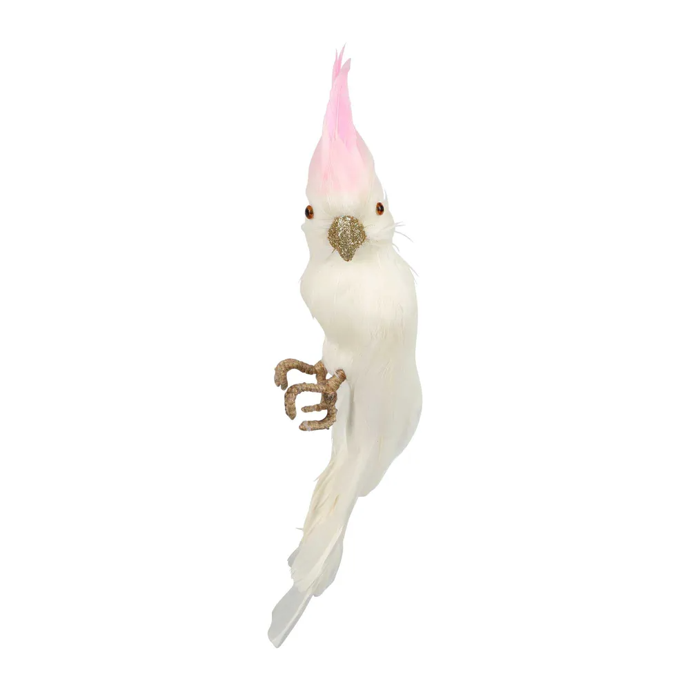 Pinkey Cockatoo