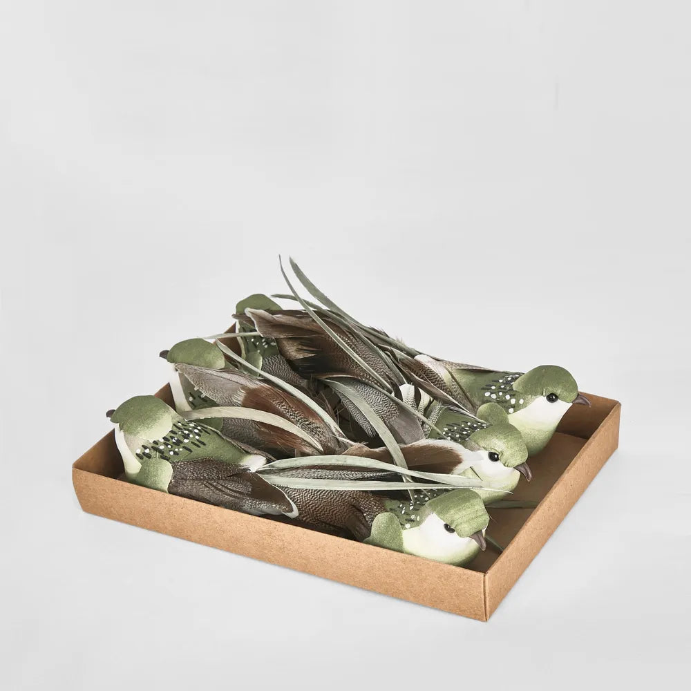 Flome Clip on Bird - Green - Set of 6