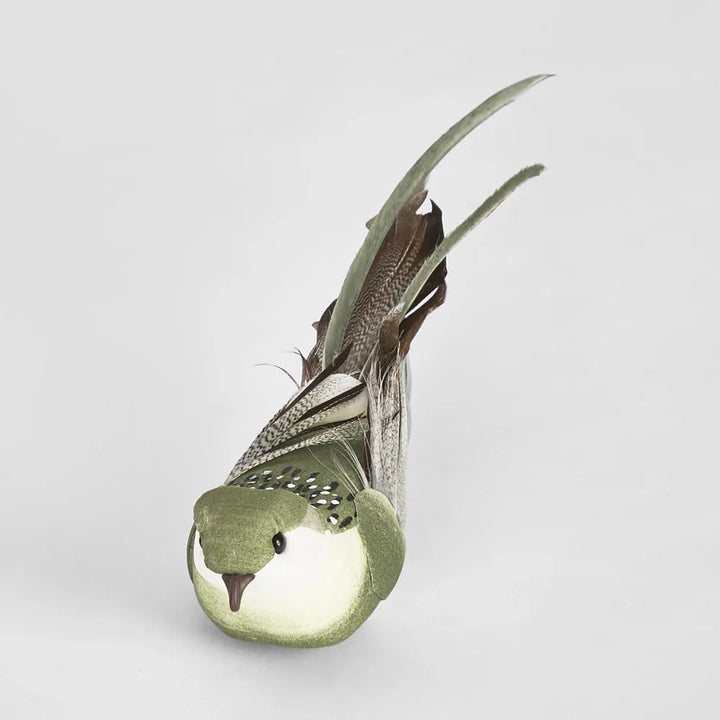 Flome Clip on Bird - Green - Set of 6