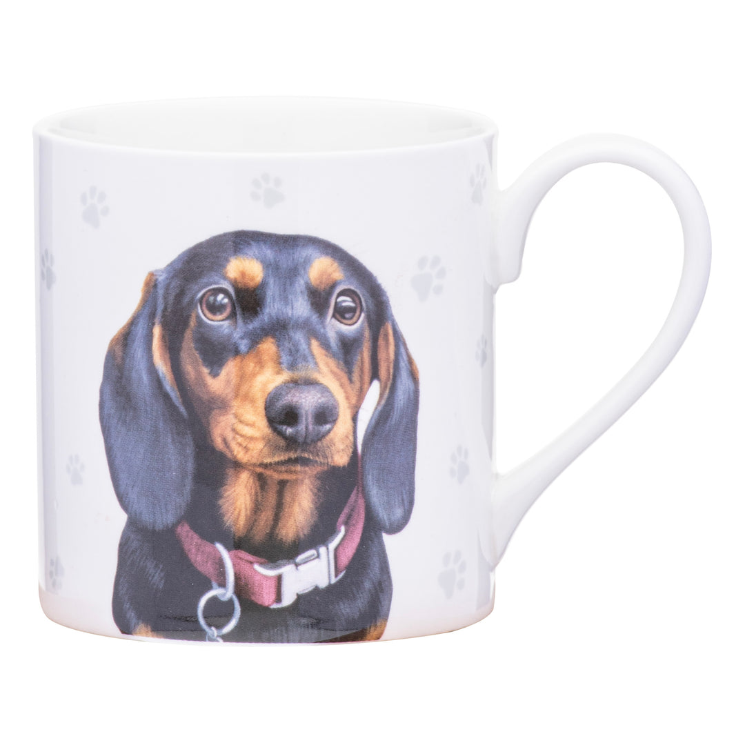 Ashdene Paws & All Dachshund Mug