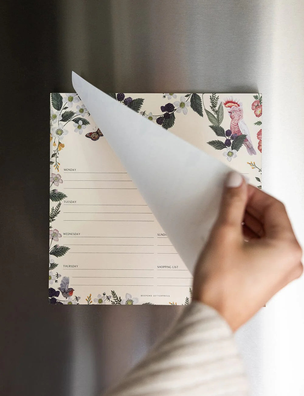 Meal Planner Notepad - Cockatoo