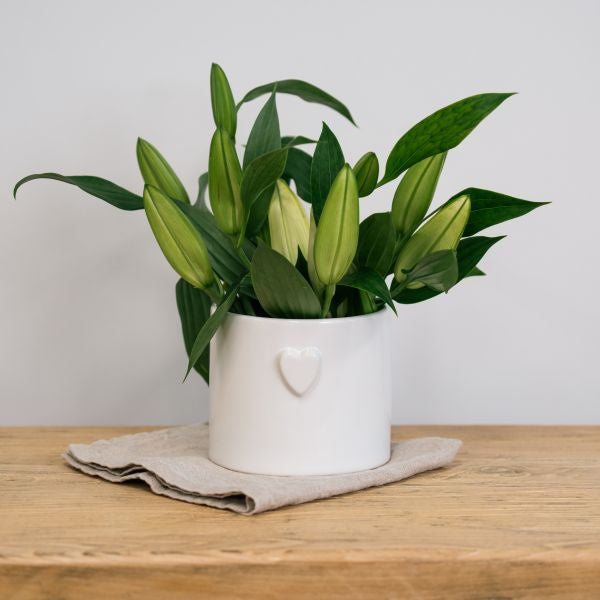 Mode Heart Pot