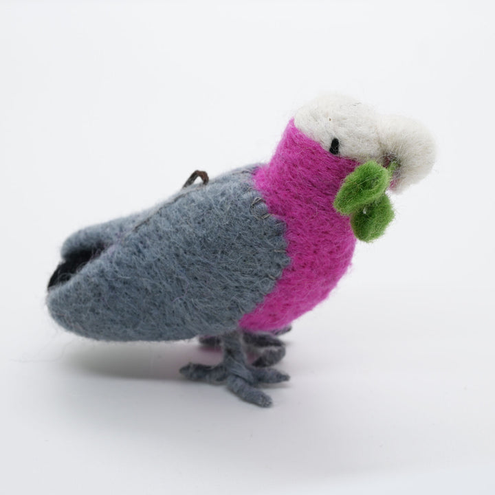 Galah, He has landed