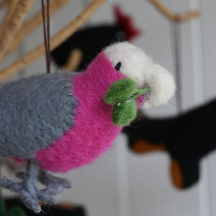 Galah, He has landed