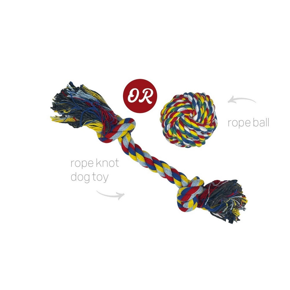 Mistletoe & Merry PETS - Pet Dogs