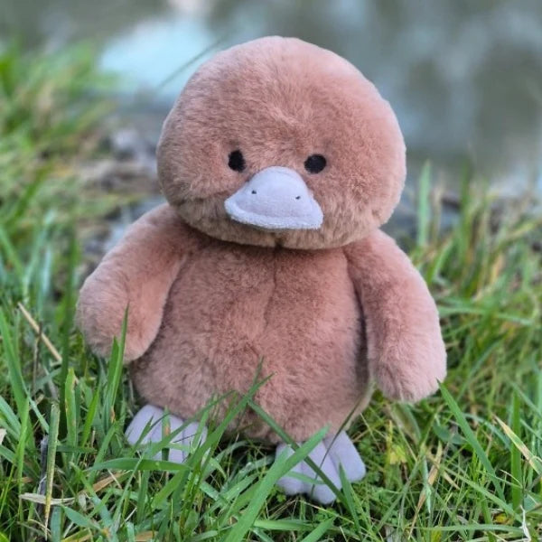 Petite Vous River the Platypus