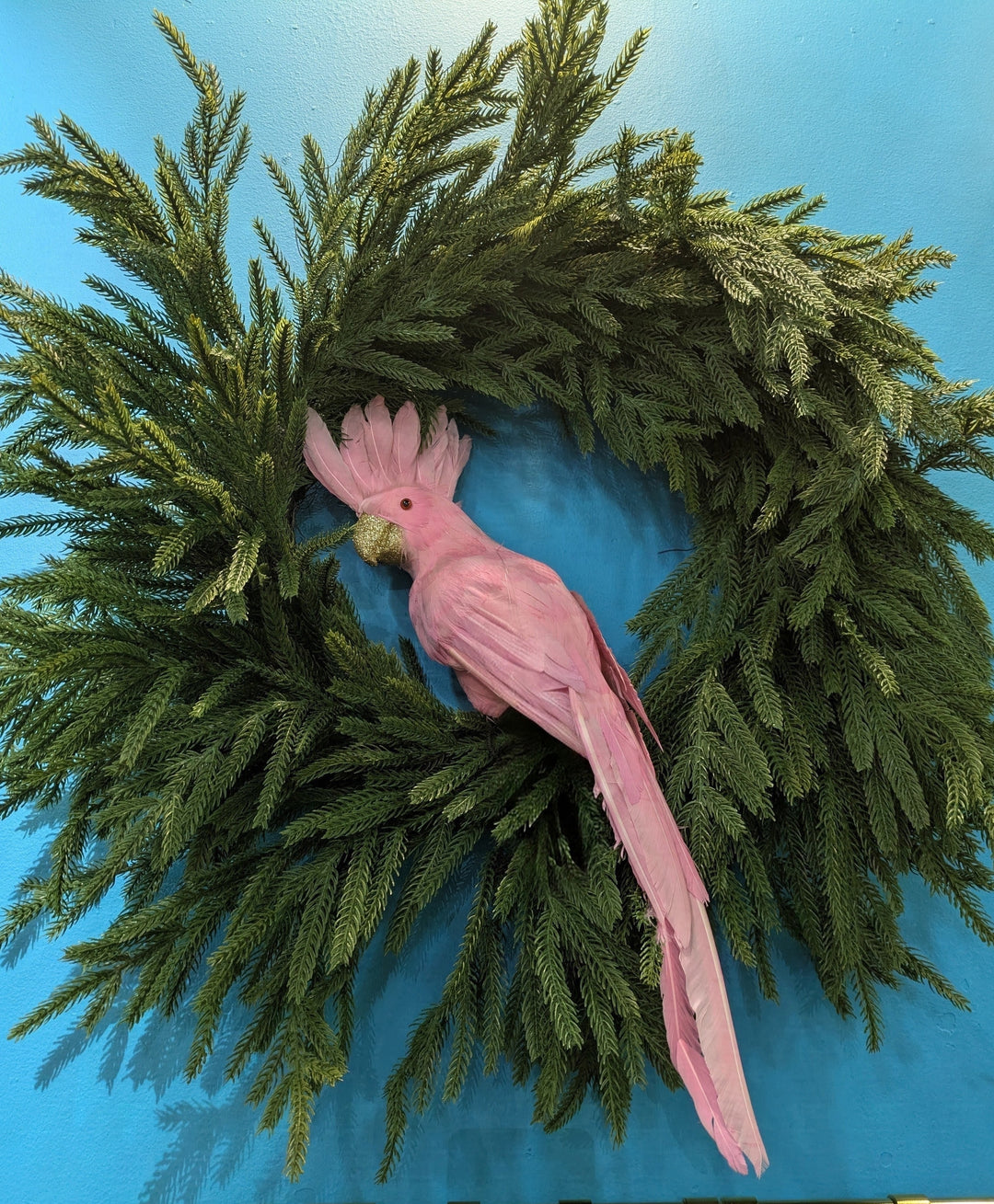 Pink Parrot