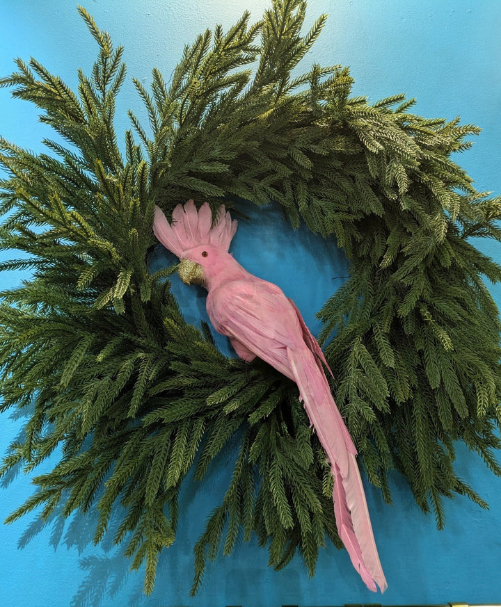 Pink Parrot