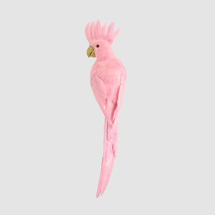 Pink Parrot