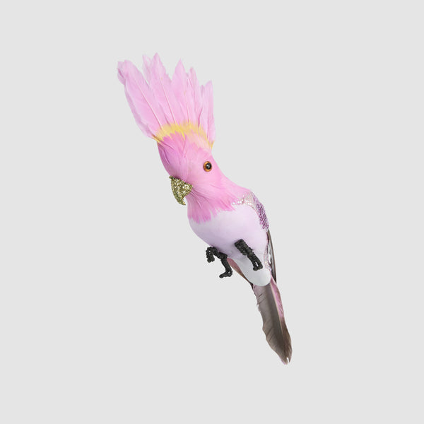 Razzle Crested Bird Pink