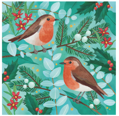CMRI Robins - Charity Christmas Card Pack