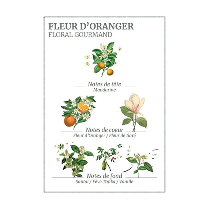 Panier Des Sens Orange Blossom Body Lotion